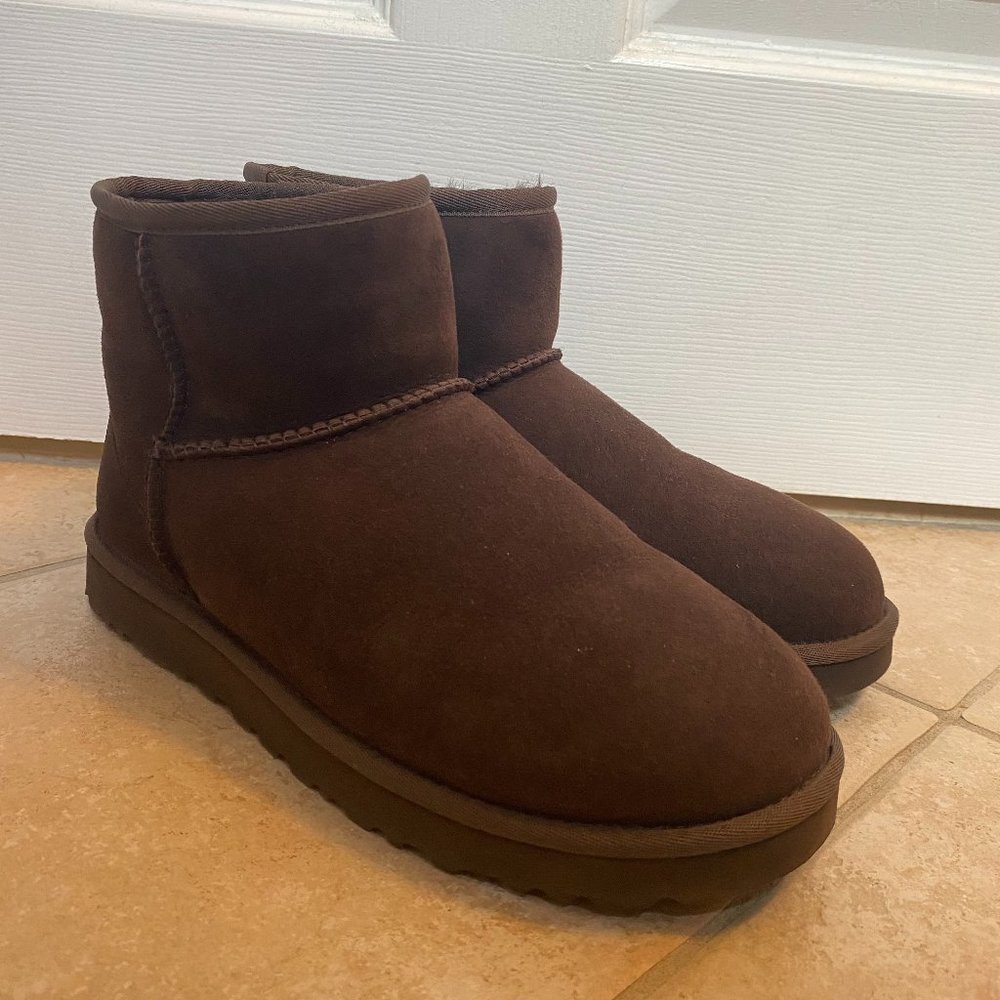 Brown Mini Uggs *NEVER WORN*
